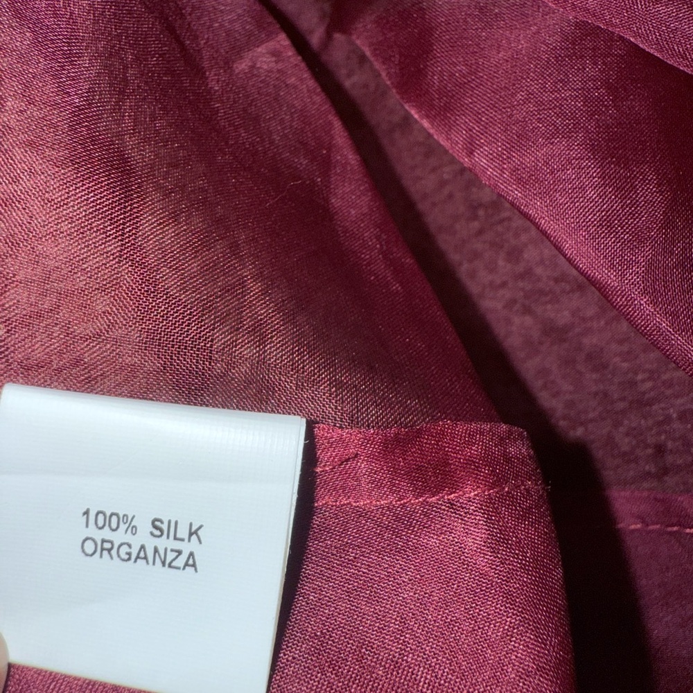 Luna Luz Silk Organza Sheer Deep Set Tunic Dress NWOT Sz S - Picture 3 of 10